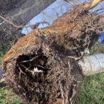 Blocked Drains 168